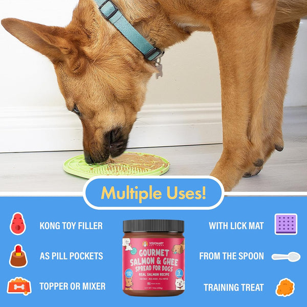 healthy dog treat salmon spread no xylitol

