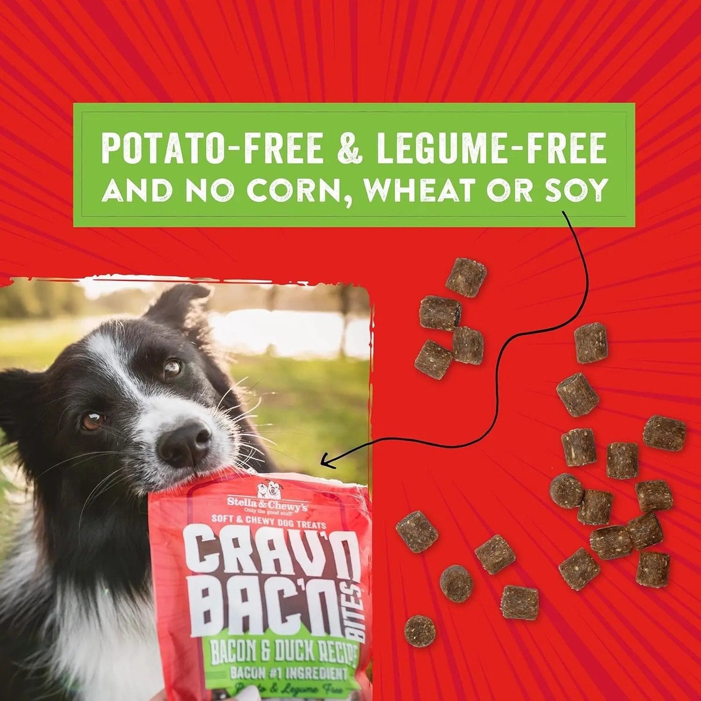 Stella & chewy's - Training Dog Treats - Crav'N Bac'N Soft Bacon & Duck Bites - Premium USA Made - Low Calorie Rewards - 8.25Oz