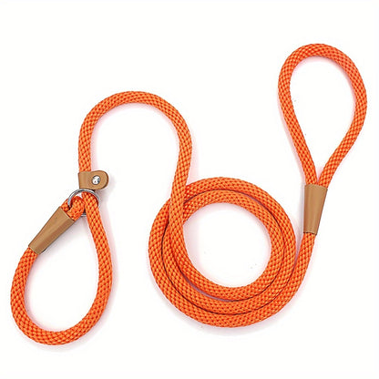 Norfie Dog Leash Slip Lead with Snap Hook orange