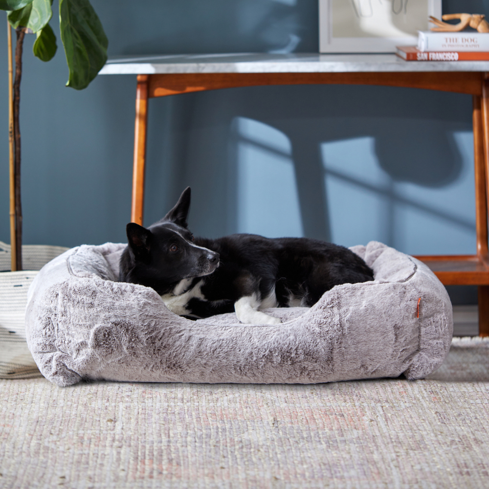 FÜZI - The Sammy Dog Bed