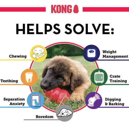 KONG - Extreme Dog Toy - Toughest Natural Rubber, Black - Fun to Chew, Chase and Fetch