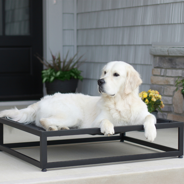 FÜZI - The Up Pup Dog Bed