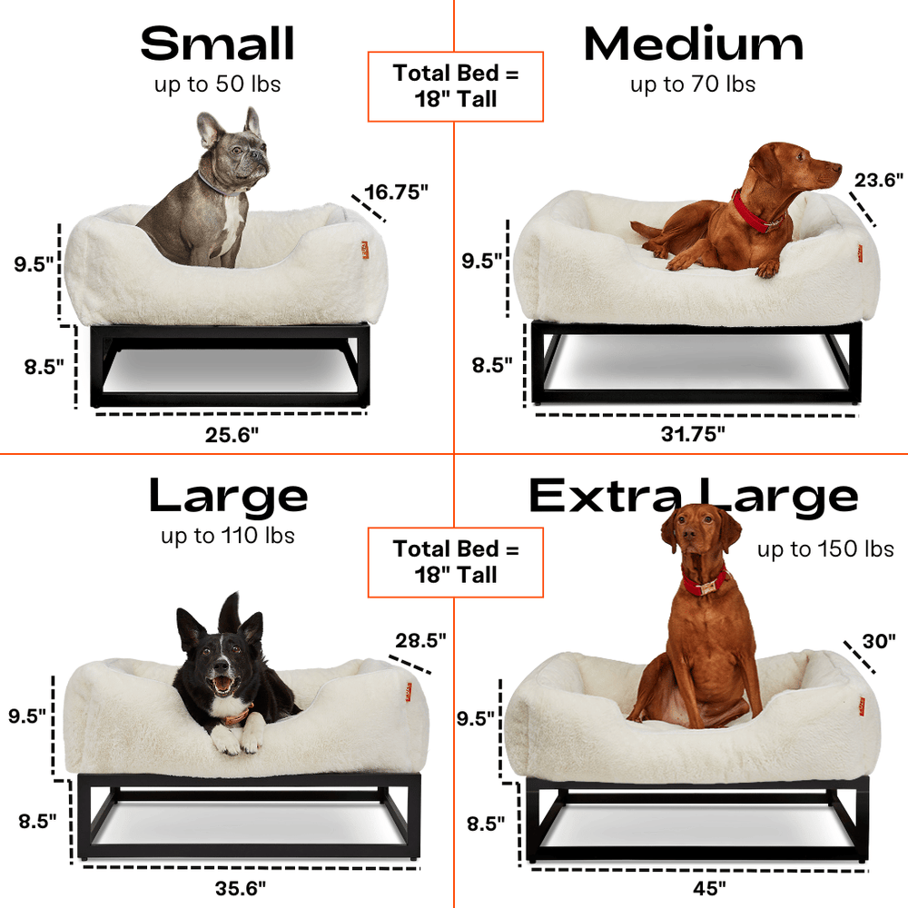 FÜZI - The FÜZI Dog Bed