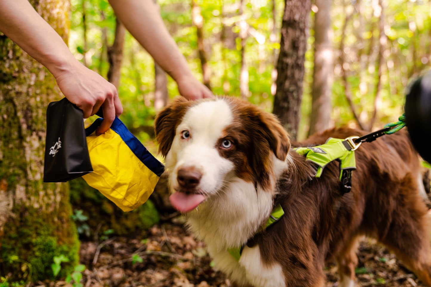 Alpha Pak - Gallatin Lightweight Collapsible Dog Bowl
