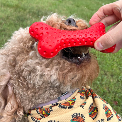 Alpha Pak - Arlo's Favorite Rubber Bone