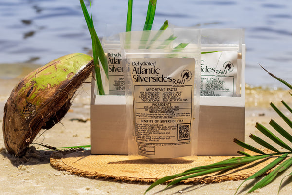 Raw Instincts - Dehydrated Atlantic Silverside – 2oz  Small Batch Florida Fish Treat for Cats & Dogs