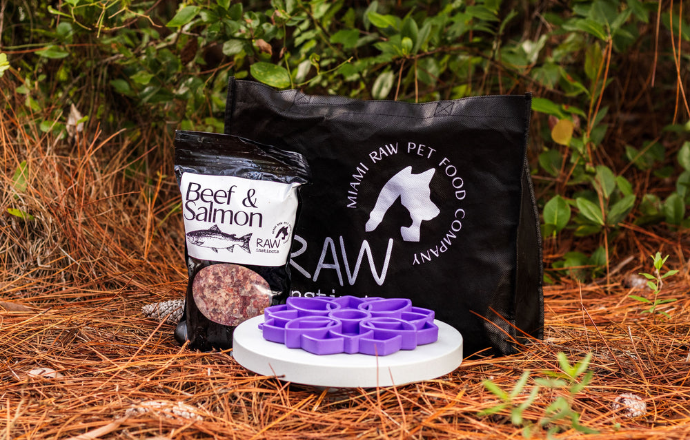 Raw Instincts - Raw Beef & Wild-Caught Salmon Meal Blend for Cats & Dogs (PMR)