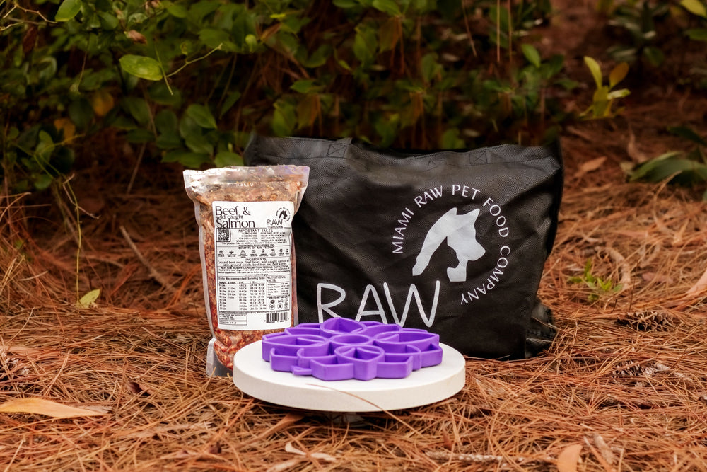 Raw Instincts - Raw Beef & Wild-Caught Salmon Meal Blend for Cats & Dogs (PMR)