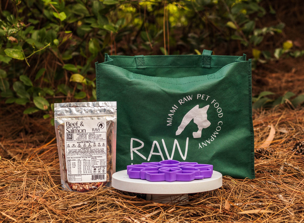 Raw Instincts - Raw Beef & Wild-Caught Salmon Meal Blend for Cats & Dogs (PMR)