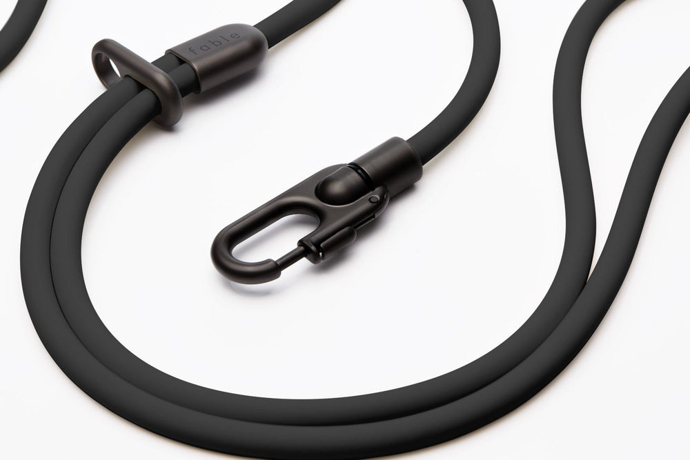 Fable - Magic Dog Leash ®