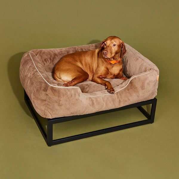 The FÜZI Dog Bed