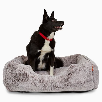 FÜZI - The Sammy Dog Bed
