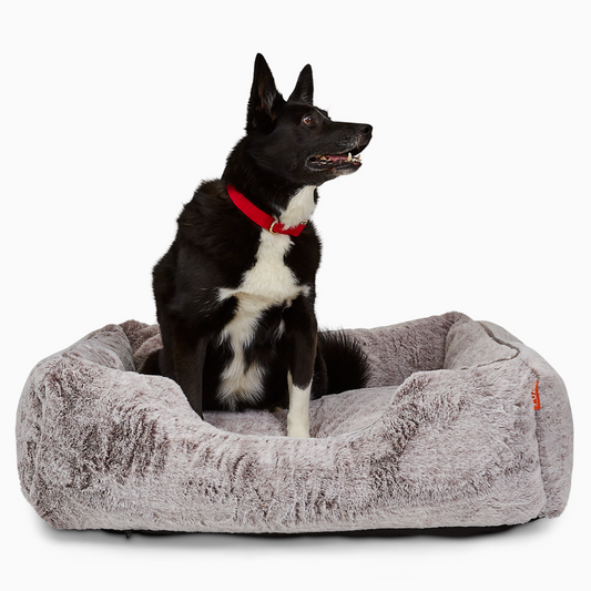 FÜZI - The Sammy Dog Bed