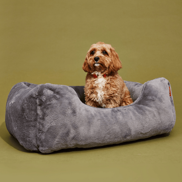FÜZI - The Sammy Dog Bed