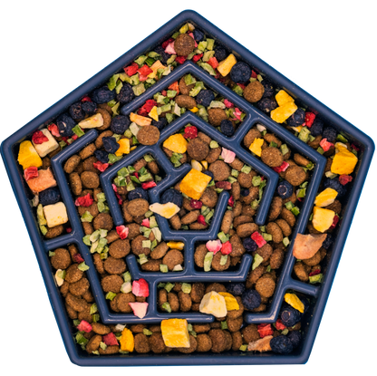 Bare Naked Salmon Mixer Dog Food Topper 6oz  pet food tray with a maze design filled with colorful pet treats.