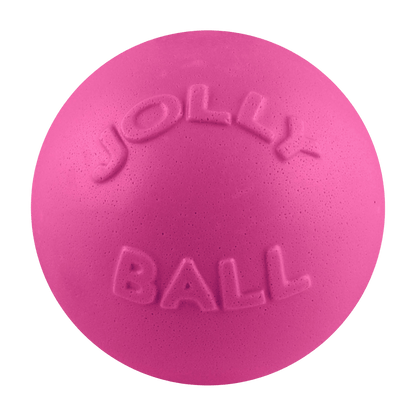 Jolly Pets - Bounce-n-Play