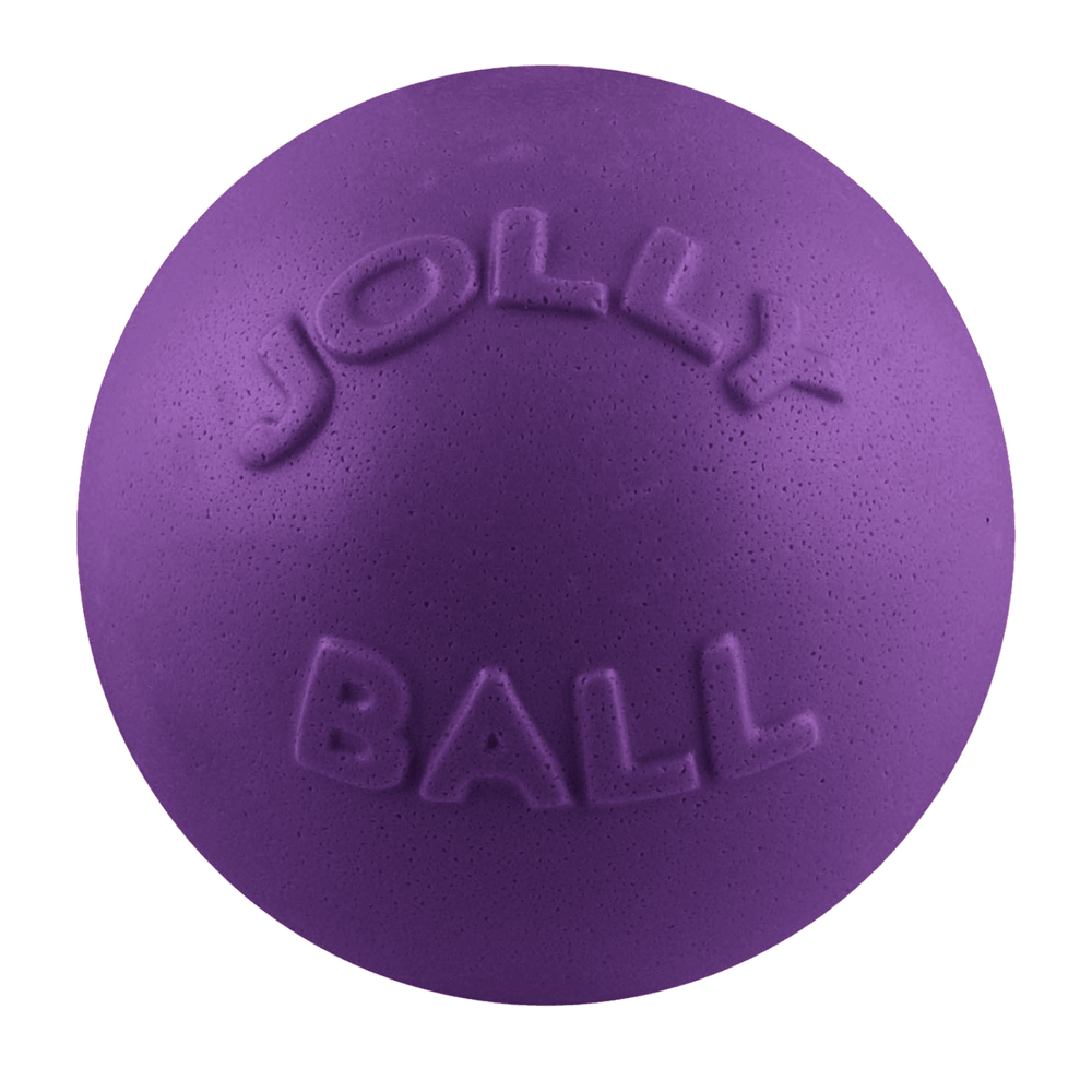 Jolly Pets - Bounce-n-Play