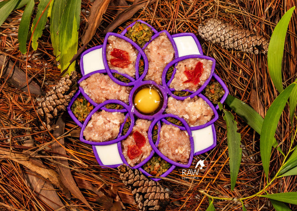 Raw Instincts - Raw Chicken & Turkey Meal Blend for Cats & Dogs (Prey Model Raw)