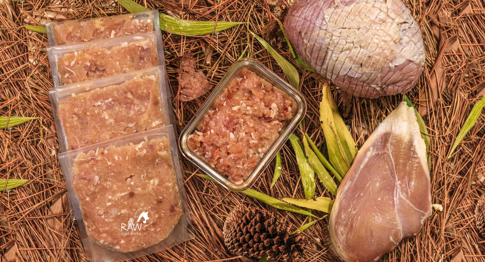Raw Instincts - Raw Chicken & Turkey Meal Blend for Cats & Dogs (Prey Model Raw)