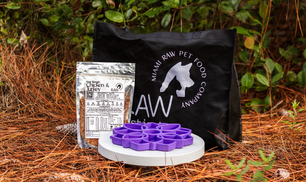 Raw Instincts - Raw Chicken & Turkey Meal Blend for Cats & Dogs (Prey Model Raw)