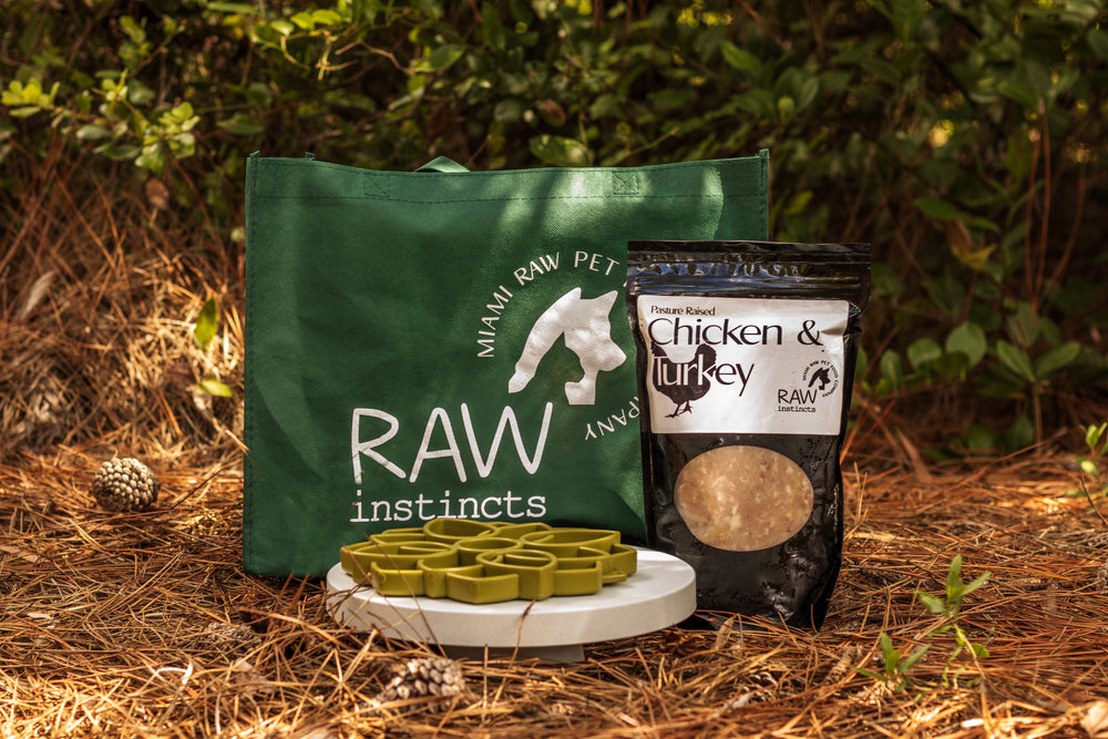 Raw Instincts - Raw Chicken & Turkey Meal Blend for Cats & Dogs (Prey Model Raw)
