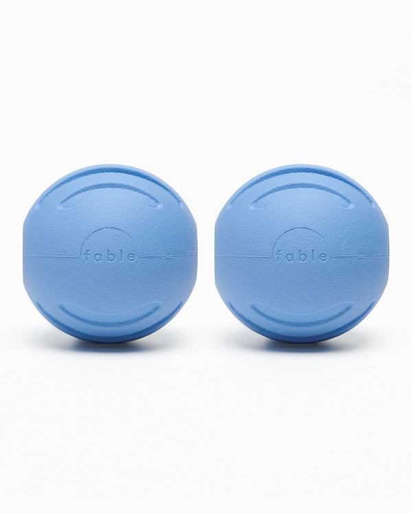 Fable - Signature Ball Dog Toy