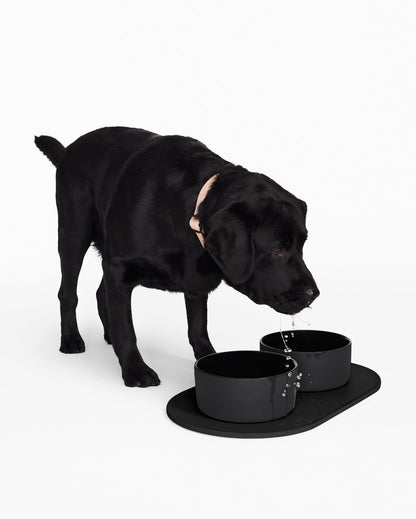 Fable -Dog Bowl