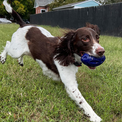 Alpha Pak - Chewie Squeak Rubber Football