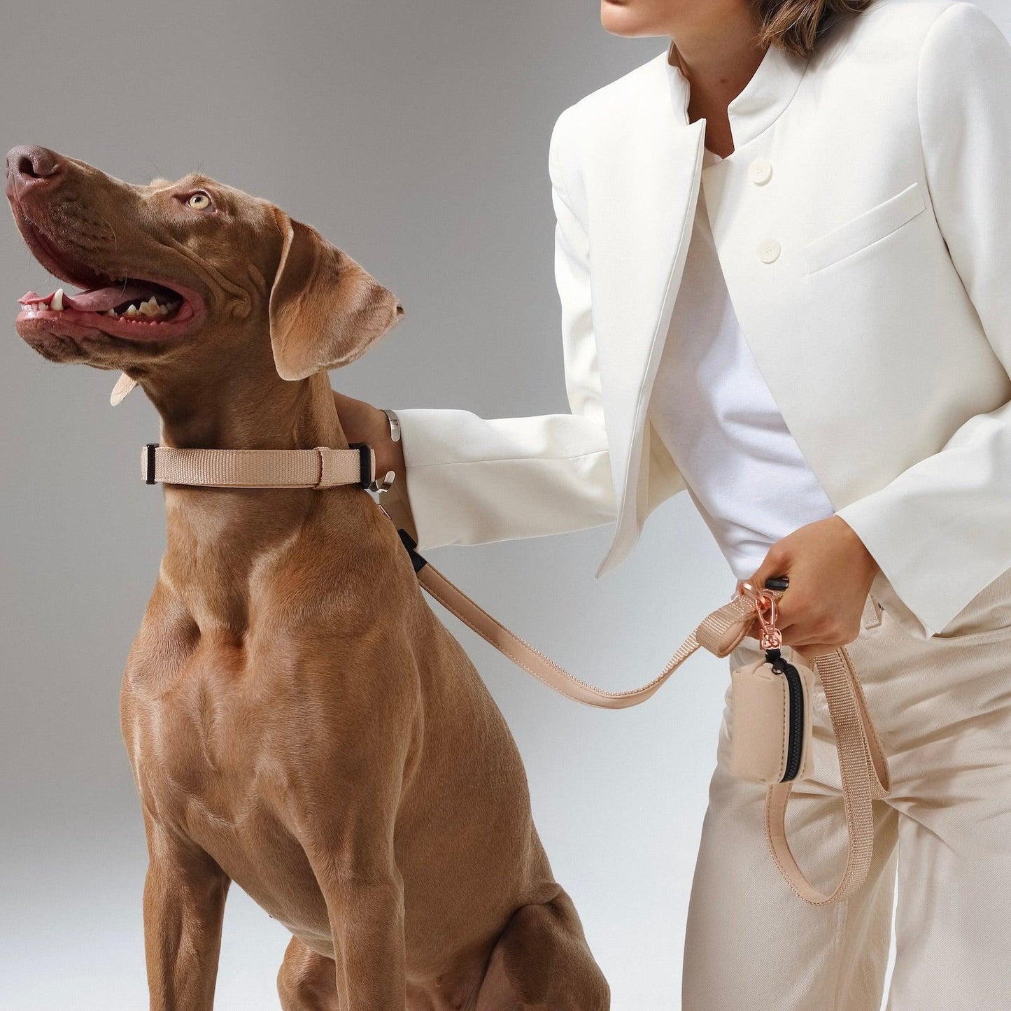 Dogistry - City Dog Leash - Dune