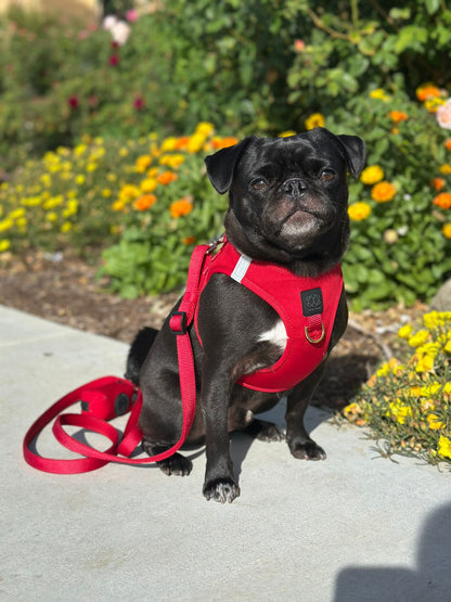 Dogistry - City Dog Leash - Iconic Red