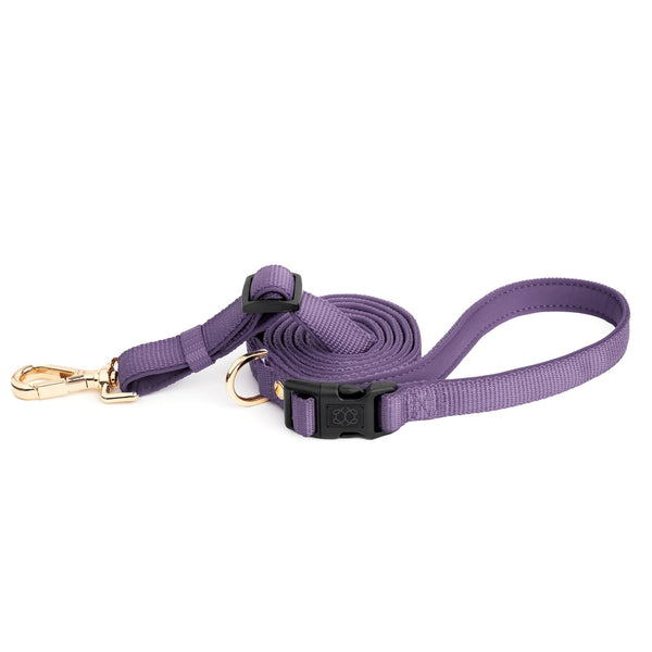 Dogistry - City Dog Leash - Lilac Gray