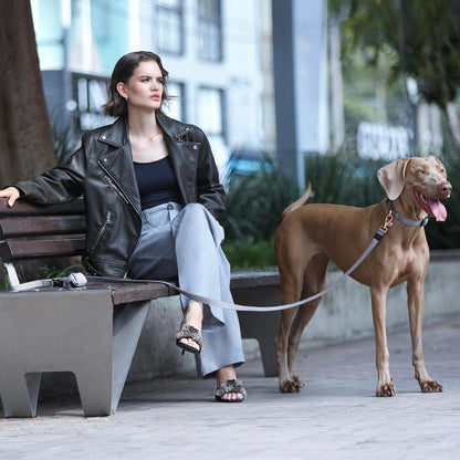 Dogistry - City Dog Leash - Steel
