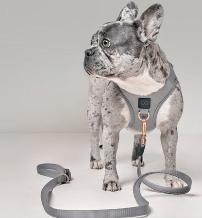 Dogistry - City Dog Leash - Steel