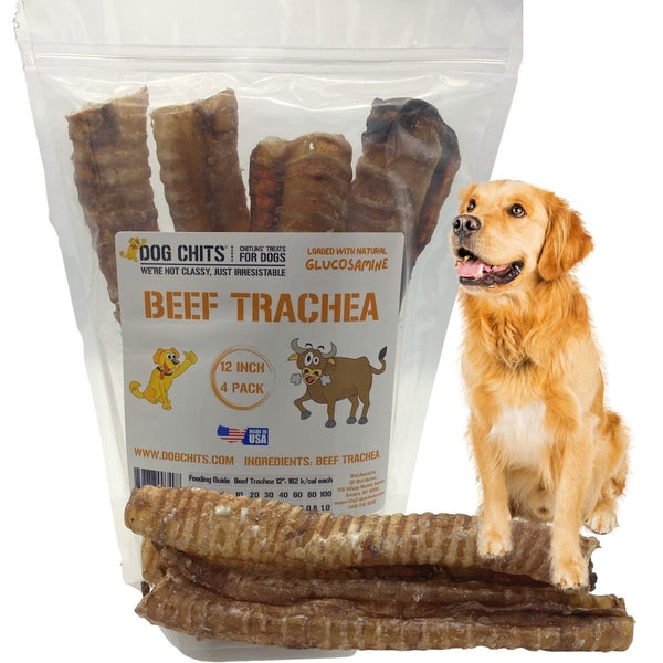 Beef Trachea Dog Treats - 12 Inch, 4 Pack
