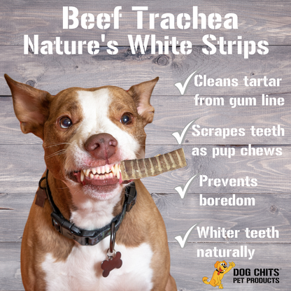 Beef Trachea Dog Treats - 12 Inch, 4 Pack