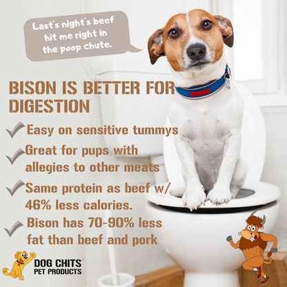 Bison Lung Fillet Treats for Dogs - 10 oz