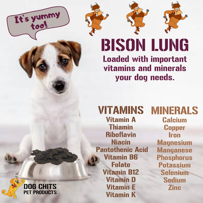 Bison Lung Fillet Treats for Dogs - 10 oz