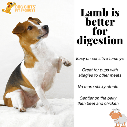 Lamb Lung Fillet Treats for Dogs - 10 oz
