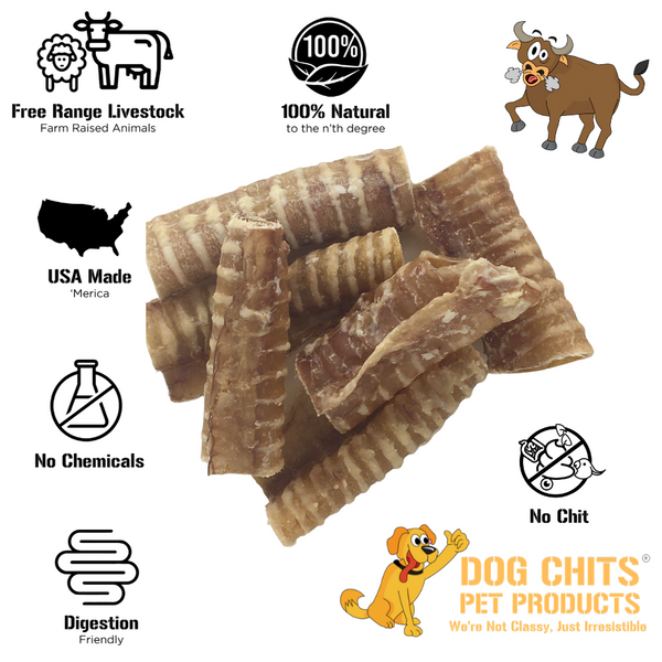 Beef Trachea Dog Treats - 1 lb. (3"-4" pieces)