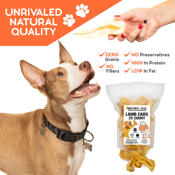 Lamb Ears for Dogs, Large - 25 Pack