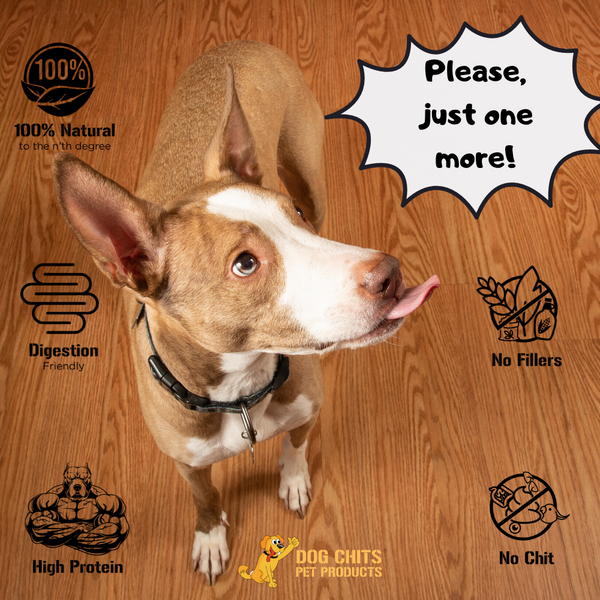 Lamb Ears for Dogs, Large - 25 Pack