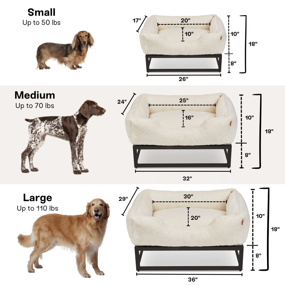 The FÜZI Dog Bed