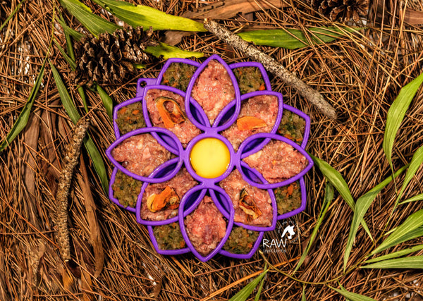 Raw Instincts - Raw Duck PMR Meal Blend for Cats & Dogs (Free-Range Pekin Duck)