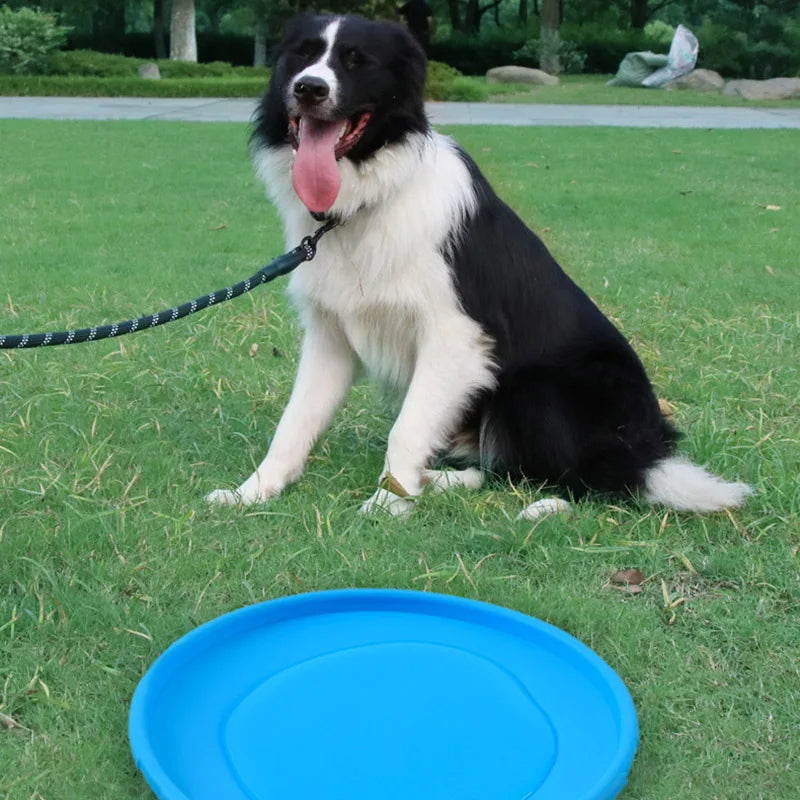 Dog Frisbee – Interactive Rubber Dog Toy for Outdoor Fun 15