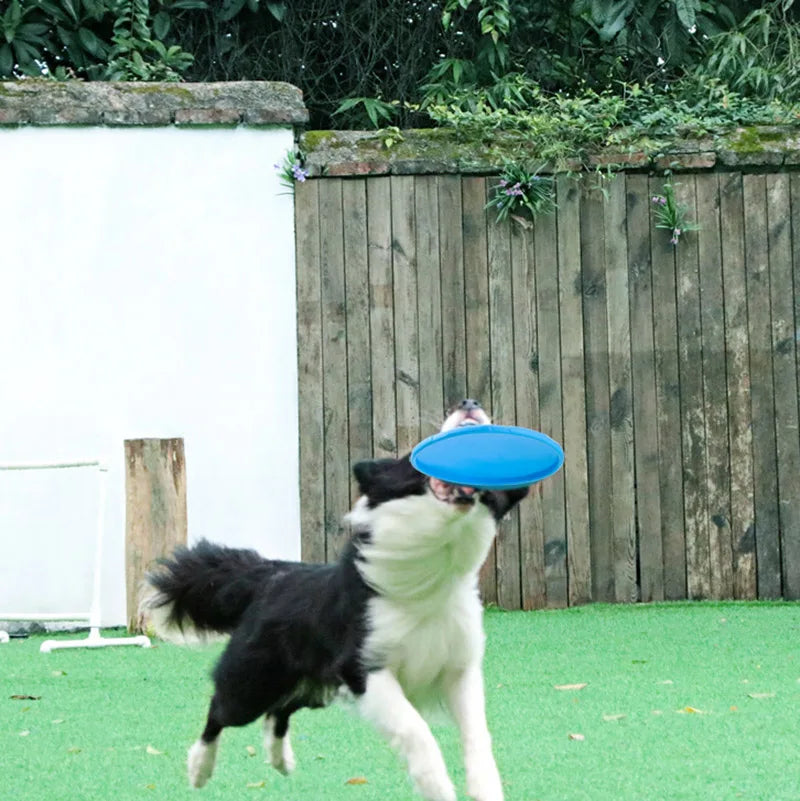 Dog Frisbee – Interactive Rubber Dog Toy for Outdoor Fun 16