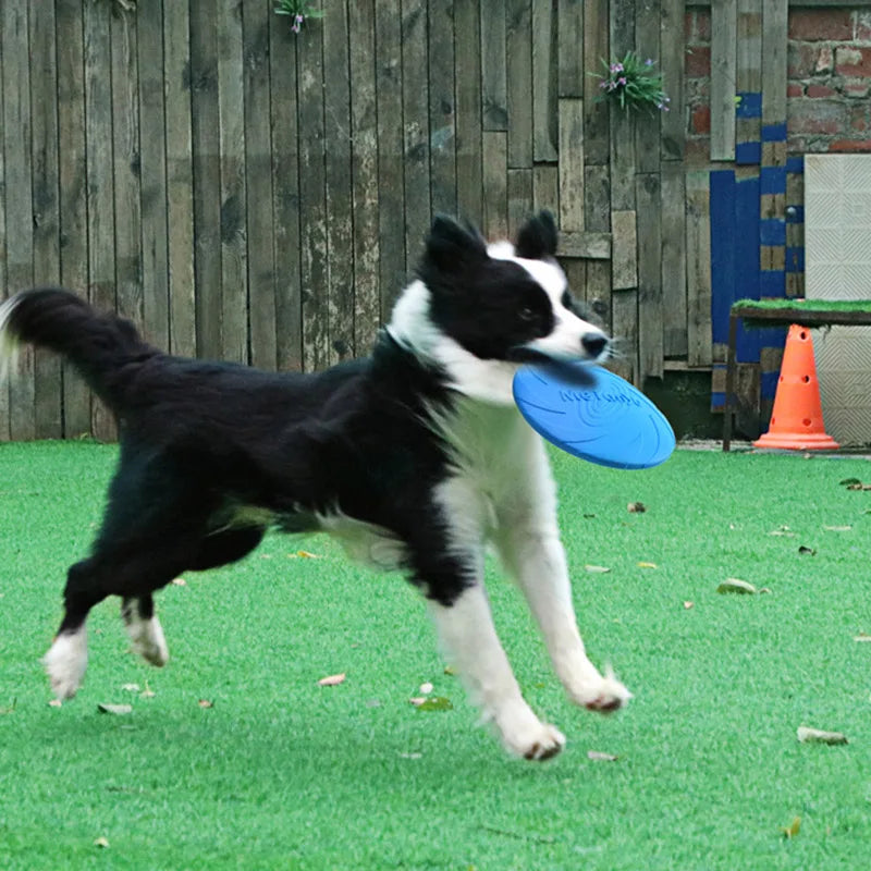 Dog Frisbee – Interactive Rubber Dog Toy for Outdoor Fun 17