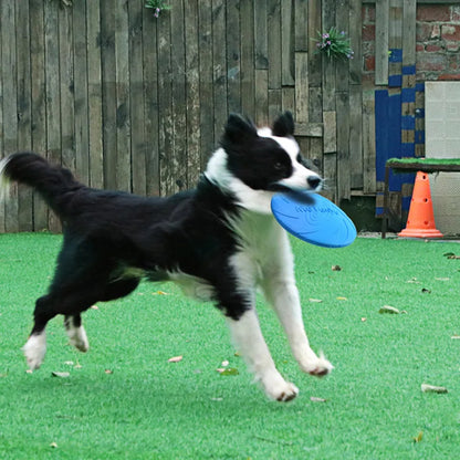 Dog Frisbee – Interactive Rubber Dog Toy for Outdoor Fun 17