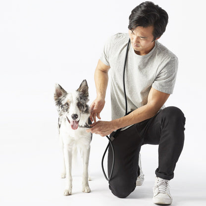 Fable - Magic Dog Leash ®