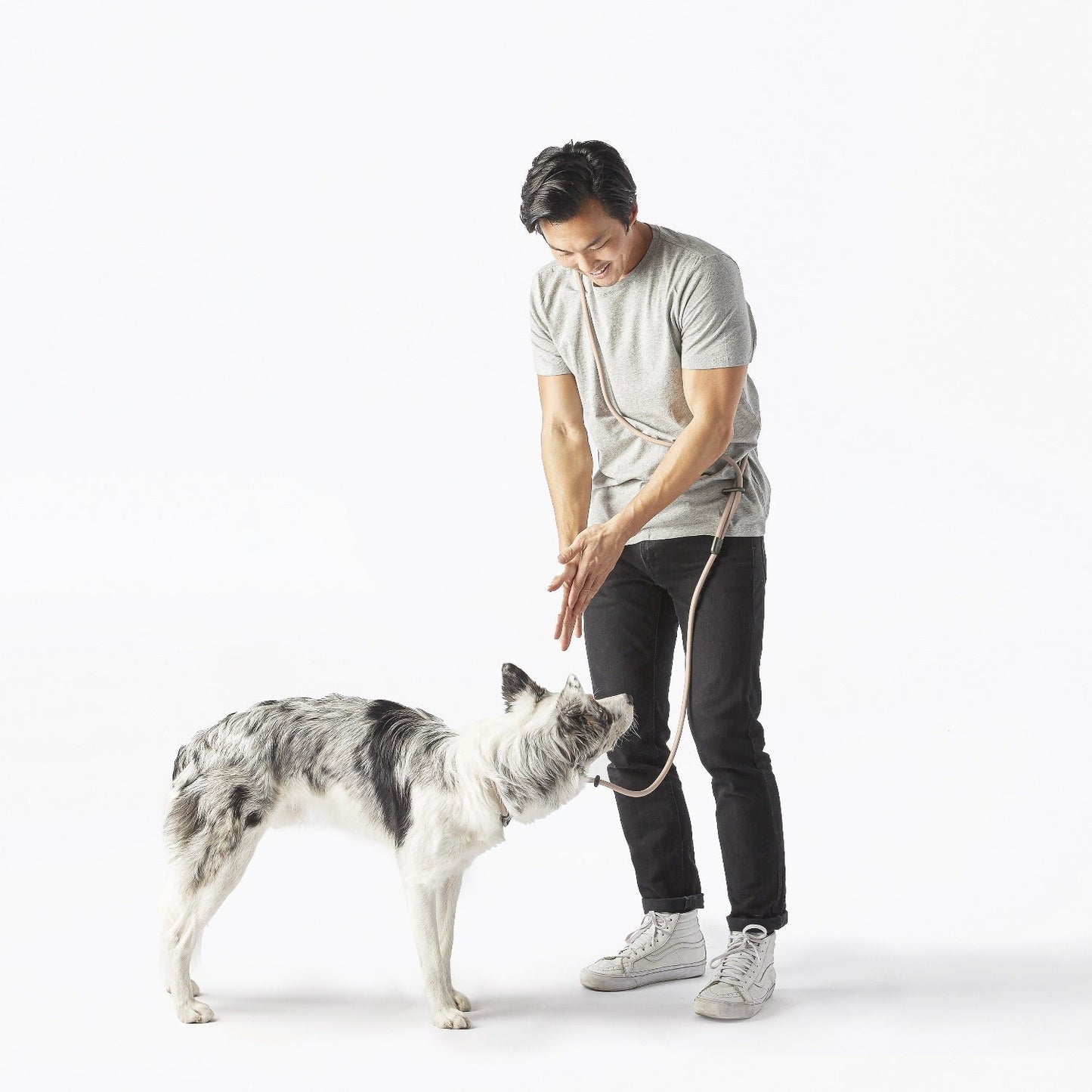 Fable - Magic Dog Leash ®