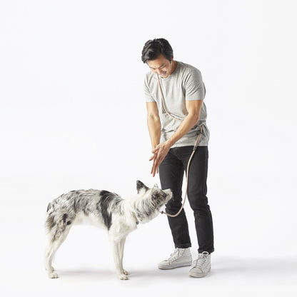 Fable - Magic Dog Leash ®